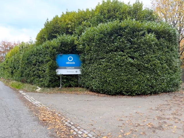 Blue Aliaxis Lenham sign partially hidden within a dense, trimmed hedge at a road junction.