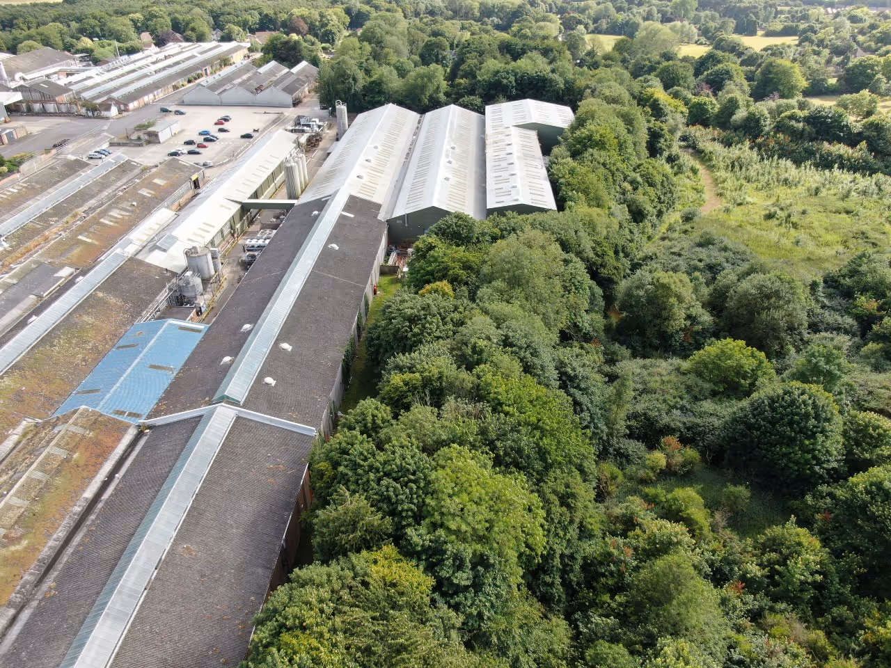 Aerial view of industrial buildings adjacent to a dense green forested area and fields.