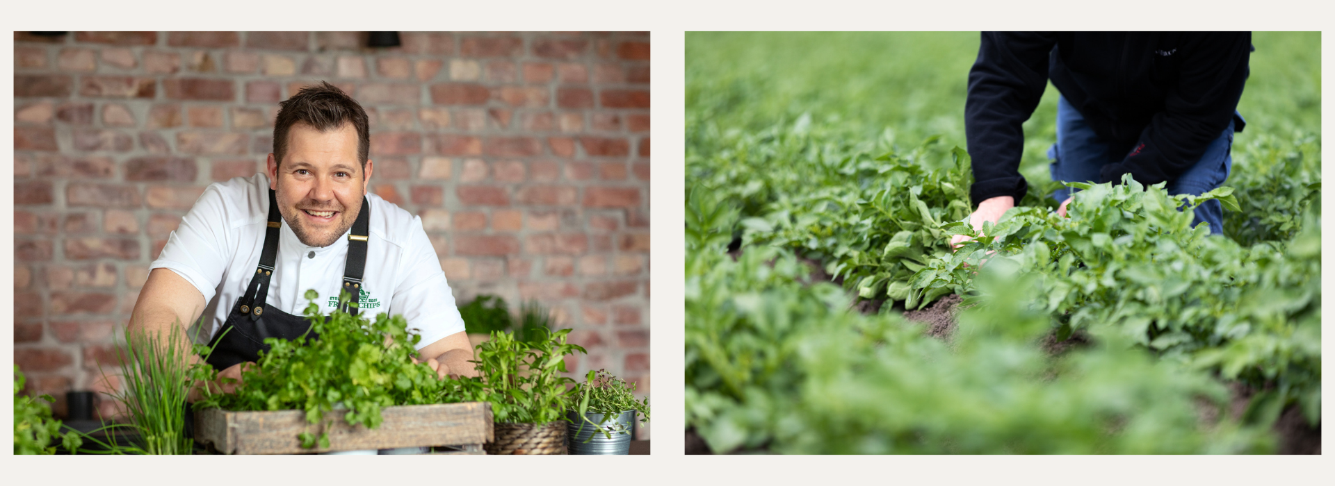 Et collage av urter på kjøkkenet og grønnsaker i åkeren.