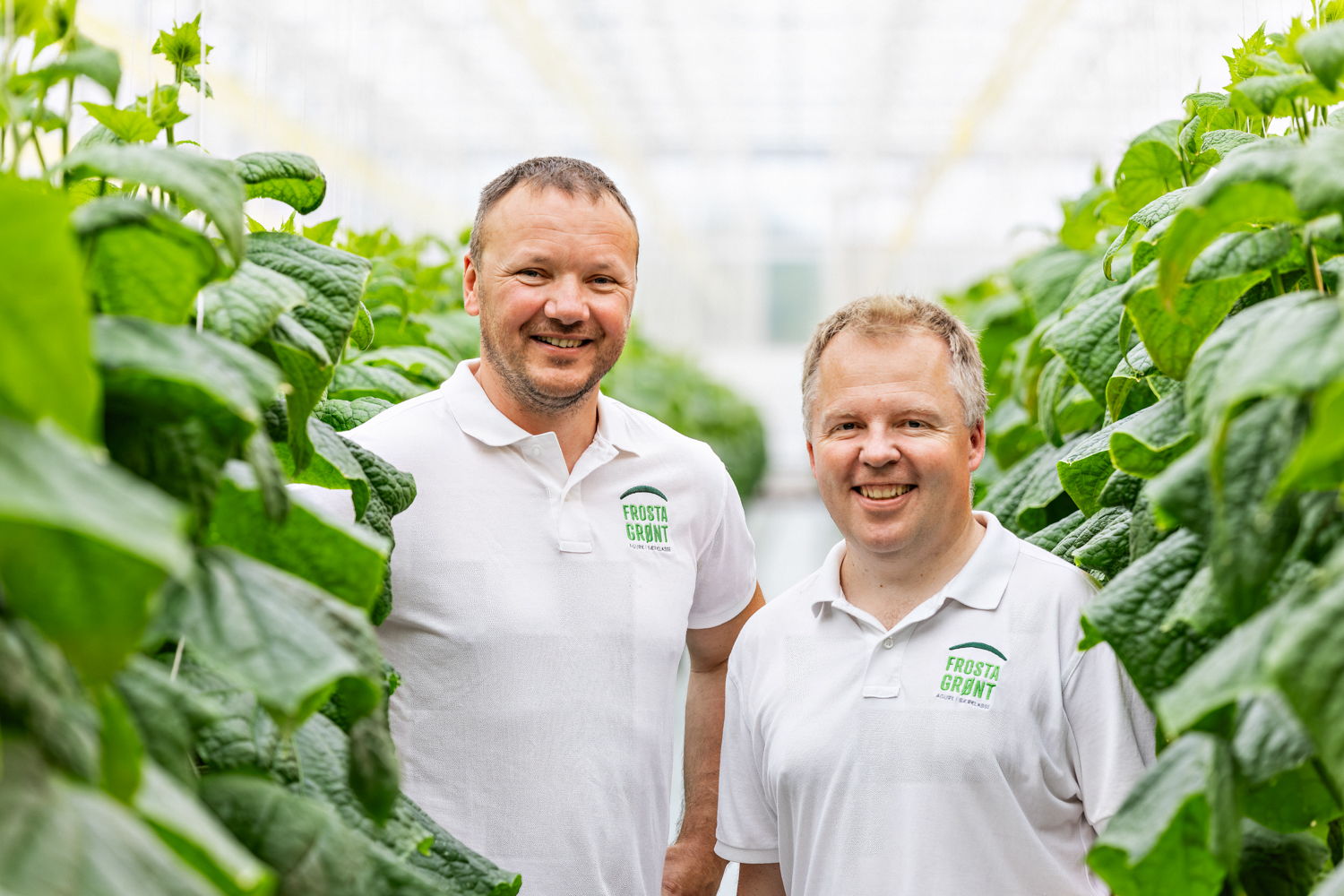 To menn står i et stort agurk-drivhus og ser rett i kamera mens de smiler