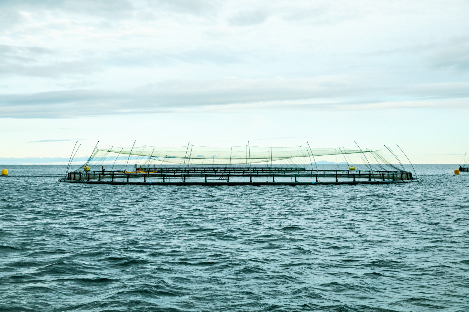 En merde ligget i havet