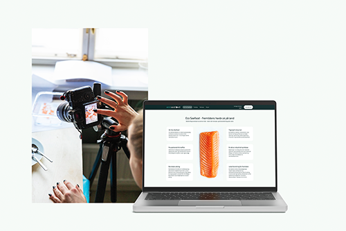 En fotograf tar et nærbilde av rogn i naturlig lyssetting.