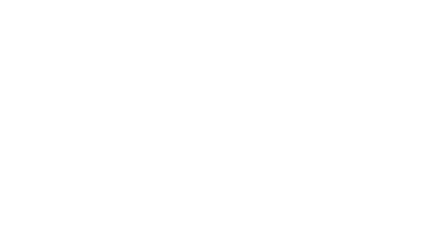 DVS