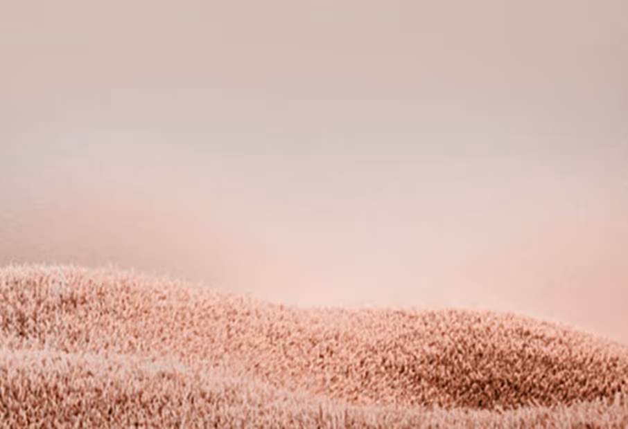 Soft pink textured surface with a smooth gradient background.