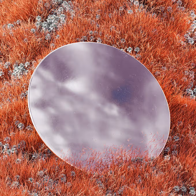 Round mirror lying on red grass with some small gray plants scattered around.