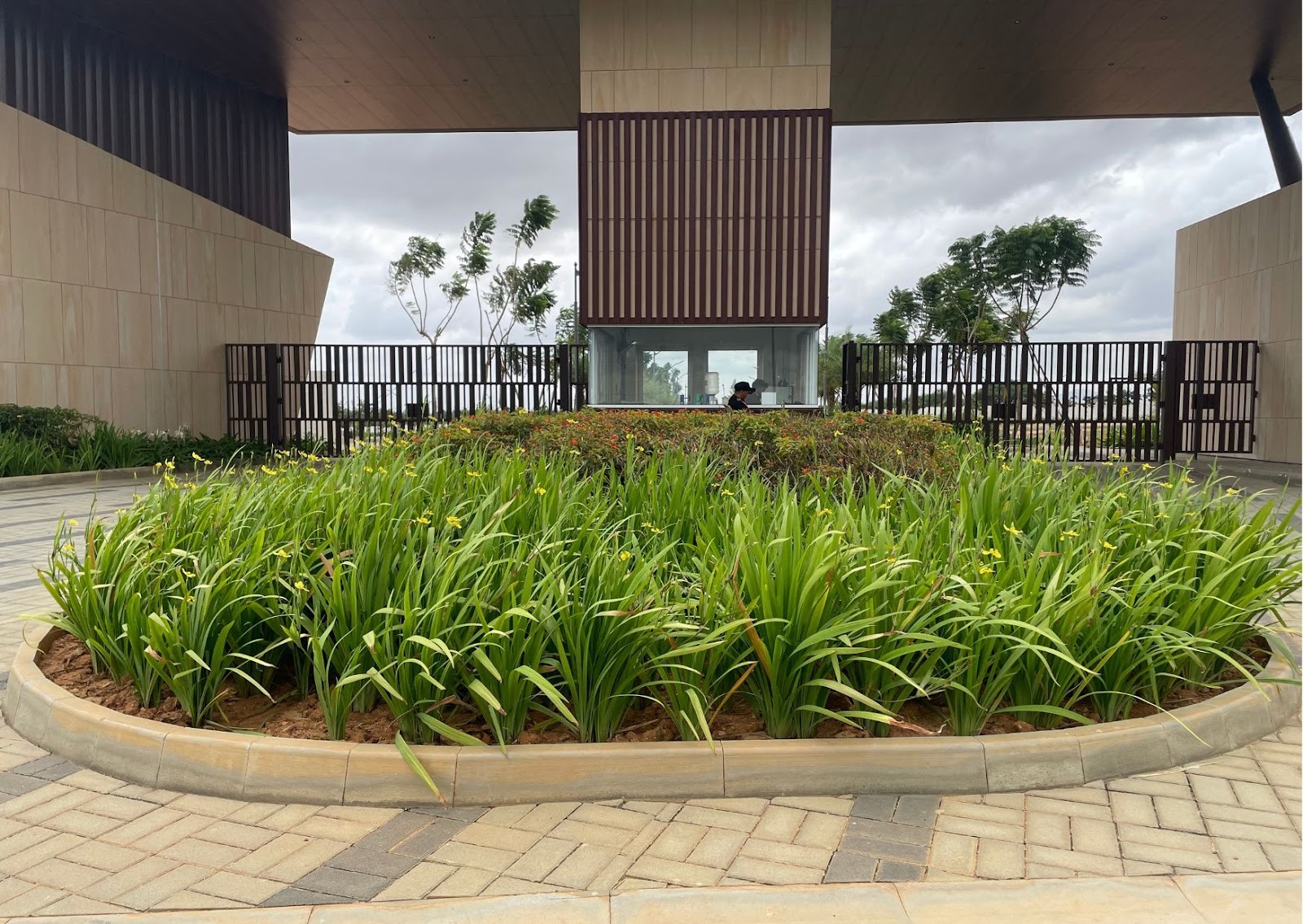 Circular planting bed edged with concrete kerbs, surrounded by paver paving in a building forecourt