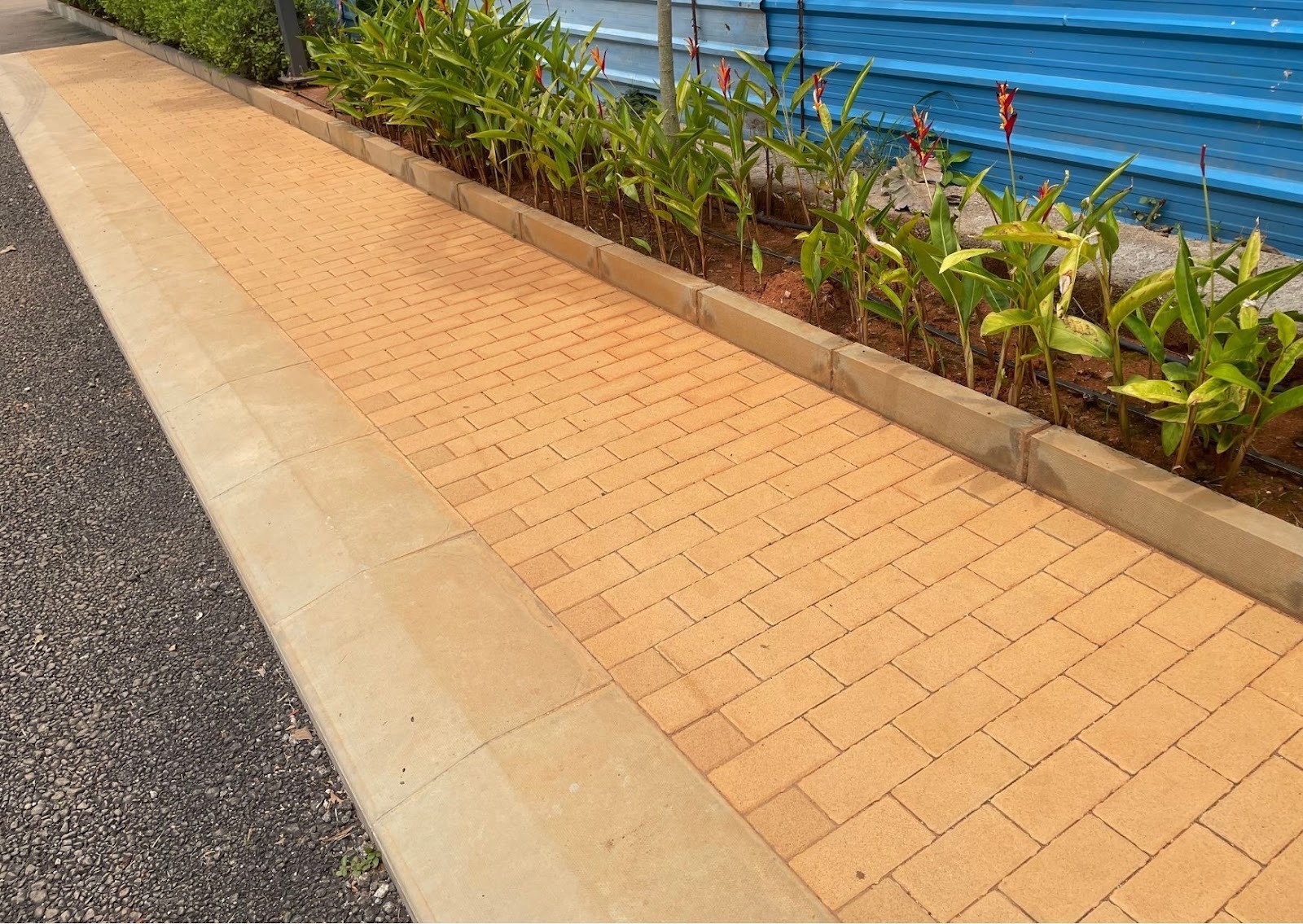 Footpath of terracotta-coloured pavers in a herringbone pattern, separated from the road and planting by concrete kerbs