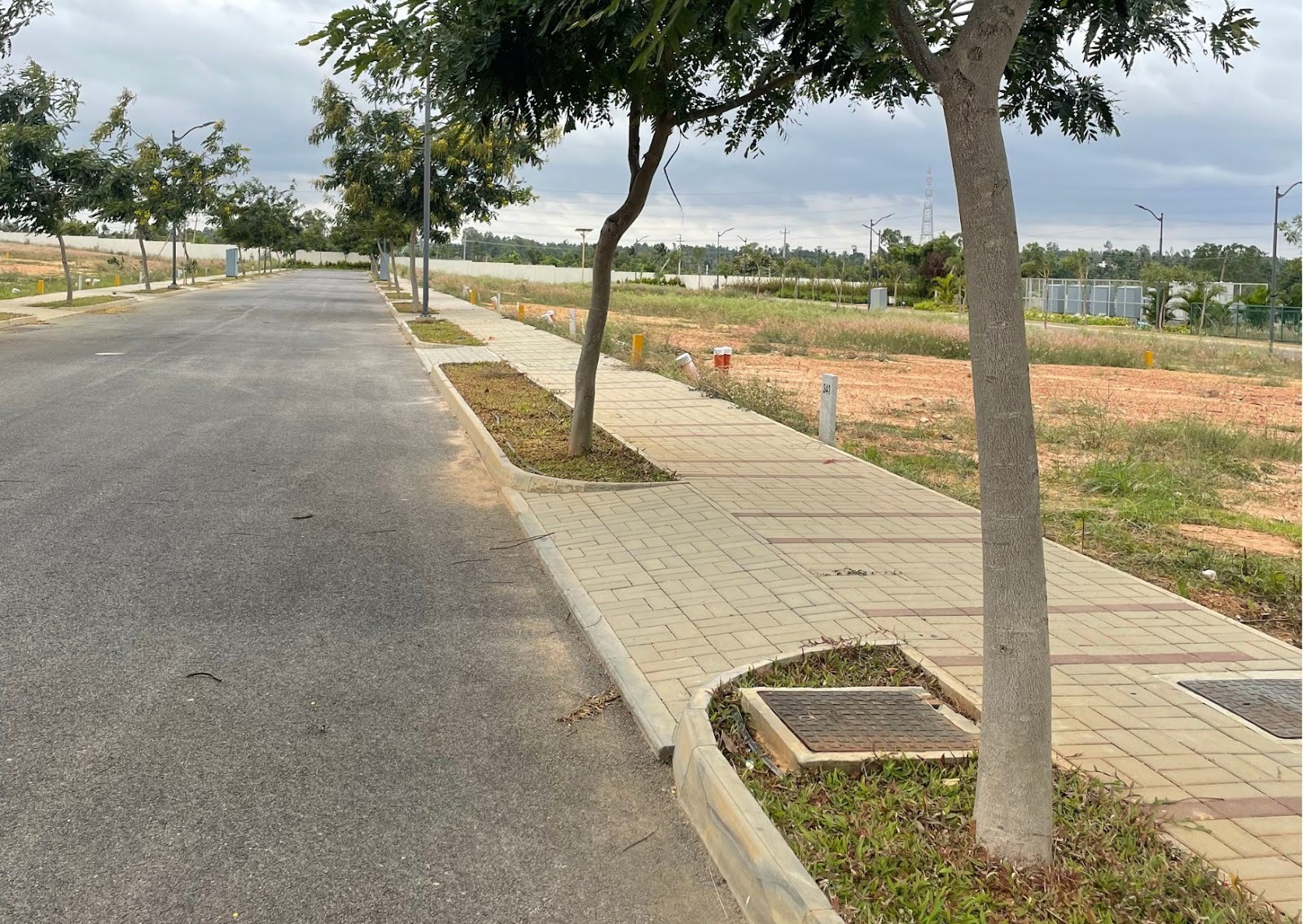 Tree-lined road with a paved footpath, concrete kerbs and kerbed tree pits along its edge