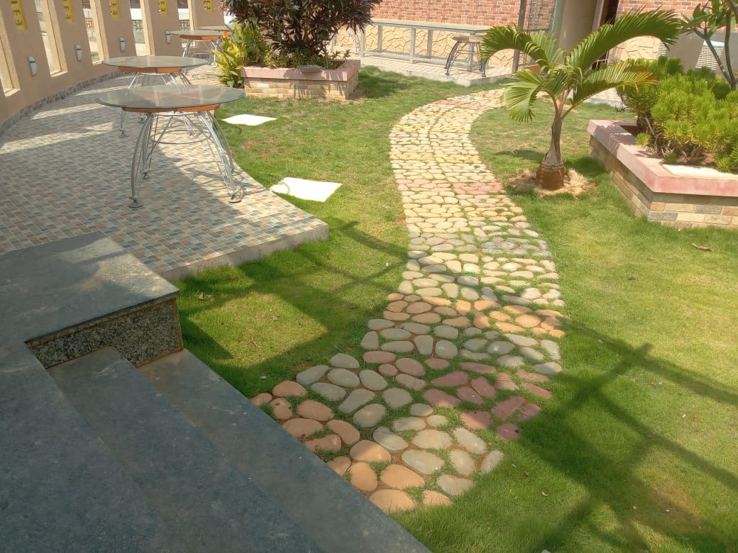 Garden path of irregular stepping-stone pavers set into lawn, curving past a palm and a seating area with cobble paving