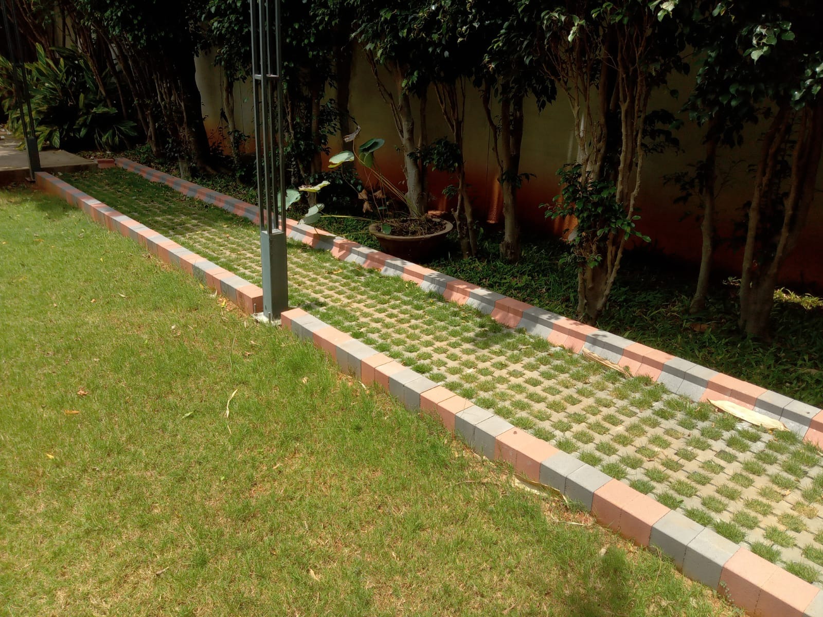 Grass pavers with grass growing through the openings, edged by red and grey kerbs along a garden lawn