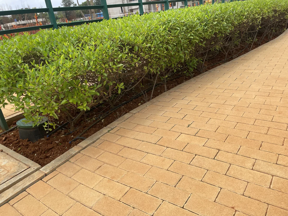 Keyblok @ Axis Capstone Mid Summer, Bengaluru