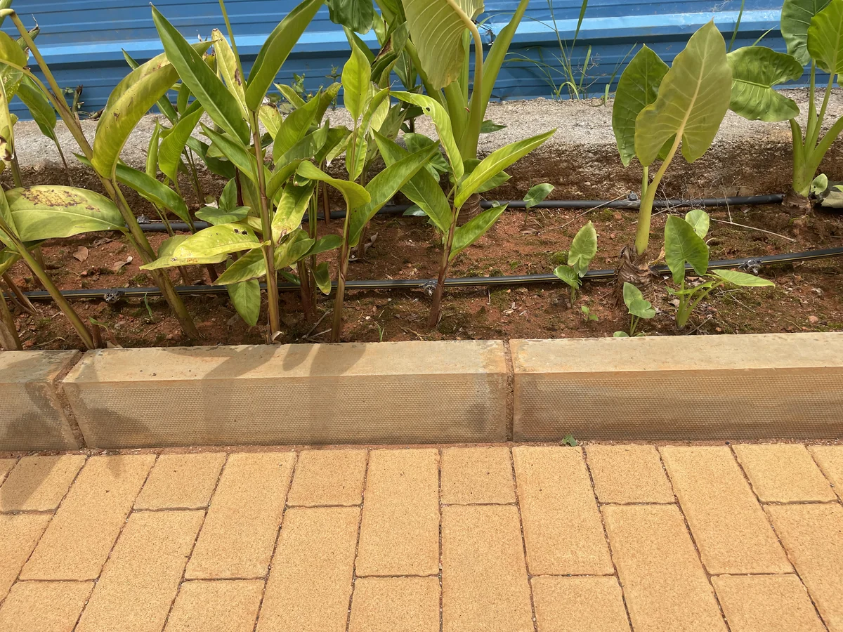 Keyblok @ Axis Capstone Mid Summer, Bengaluru