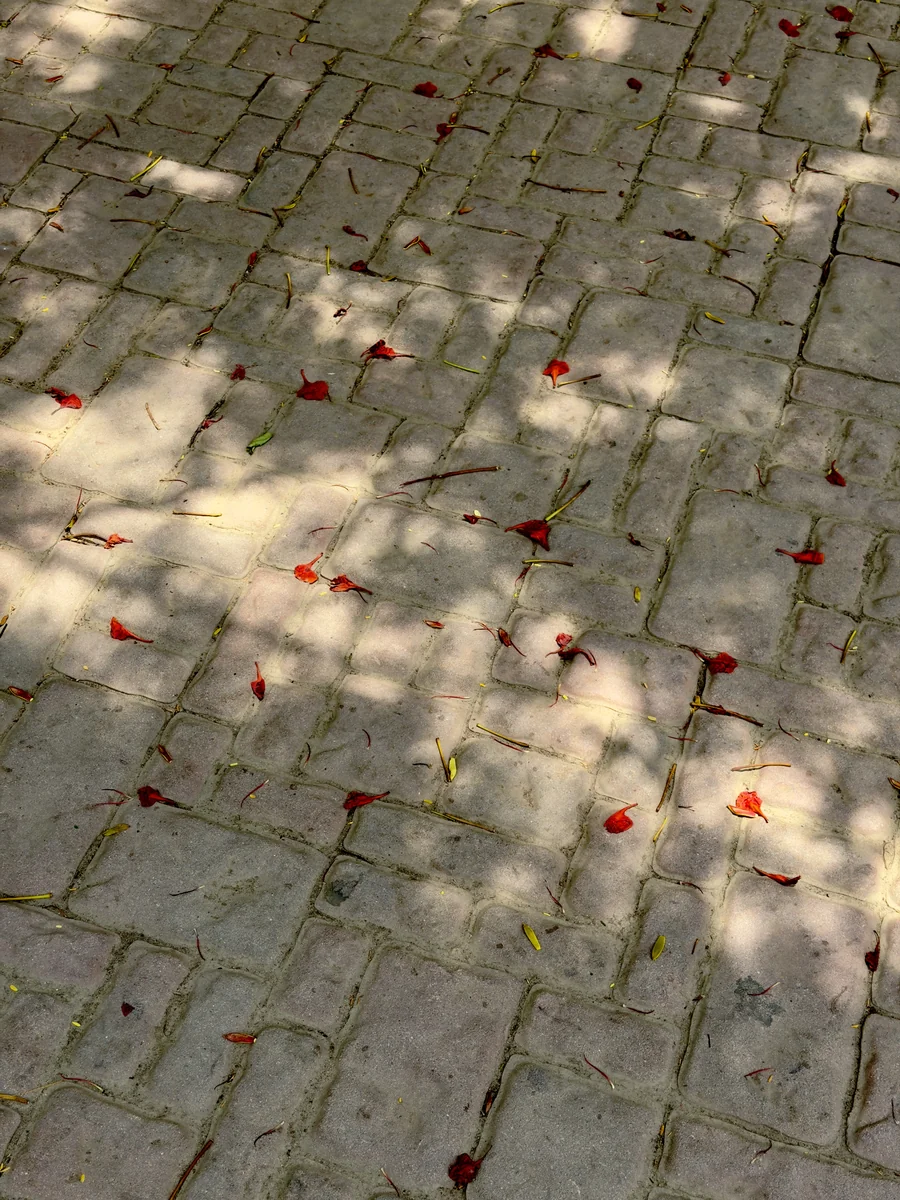 Mediterranean Cobble installed at Chaitanya Sharan, Bengaluru