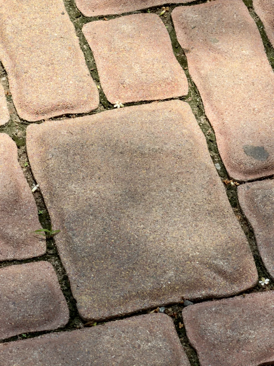 Mediterranean Cobble installed at Chaitanya Sharan, Bengaluru
