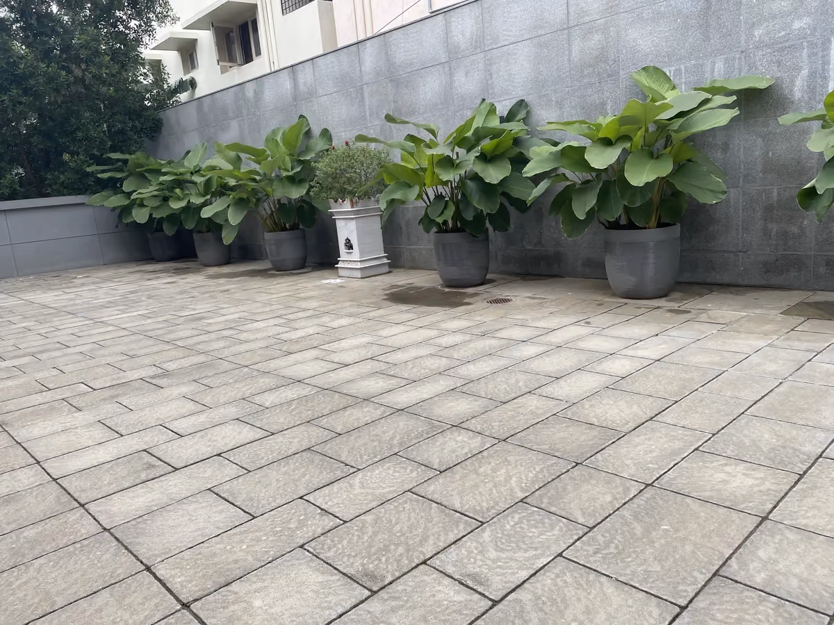 Tivoli @ Dr Murali Krishna House, Bengaluru