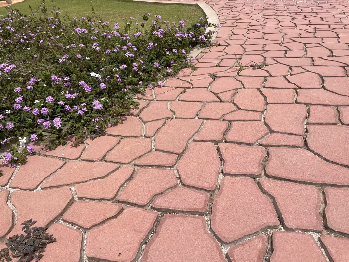 Polygon Beauty @ Eden 144 Park, Bengaluru