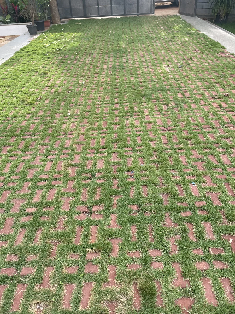 Tivoli & Rosa Cometa installed at Gokul Farm House, Bengaluru
