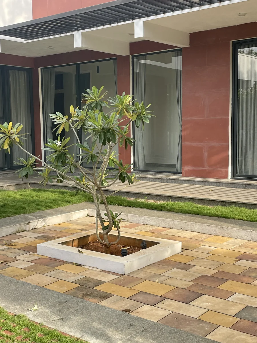 Tivoli & Rosa Cometa installed at Gokul Farm House, Bengaluru