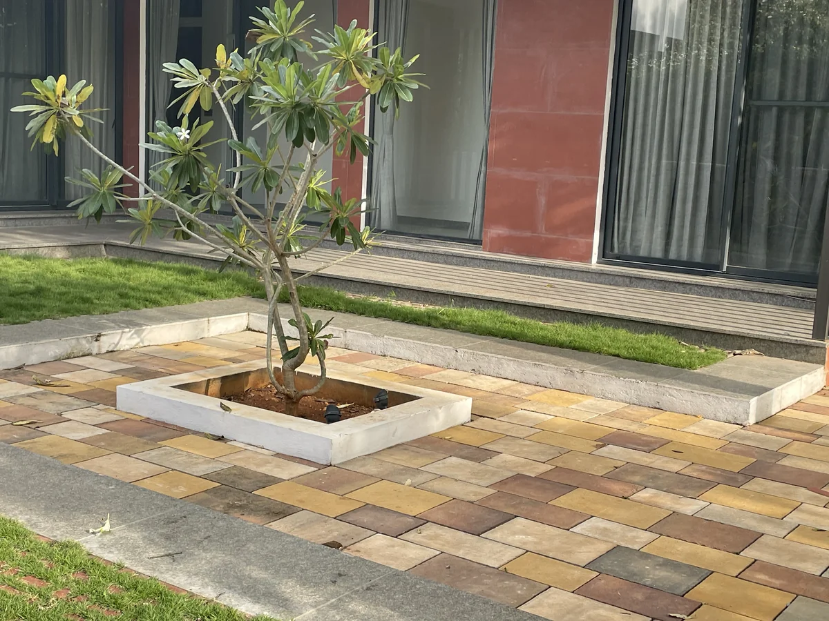 Tivoli & Rosa Cometa installed at Gokul Farm House, Bengaluru