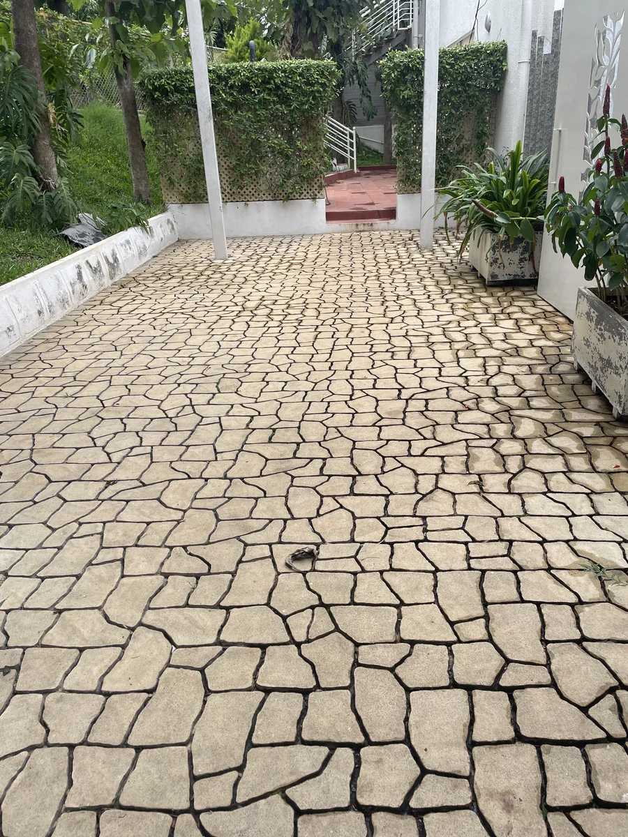 Polygon Beauty installed at Gundappa Farm House, Bengaluru