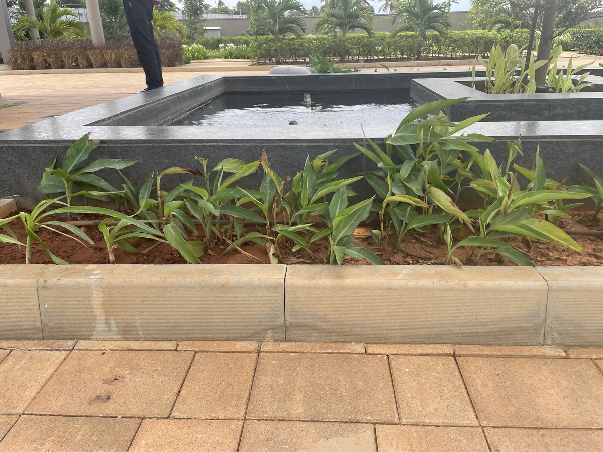 Eleganz @ Orchid Nirvana 2.0 - Sky City, Bengaluru
