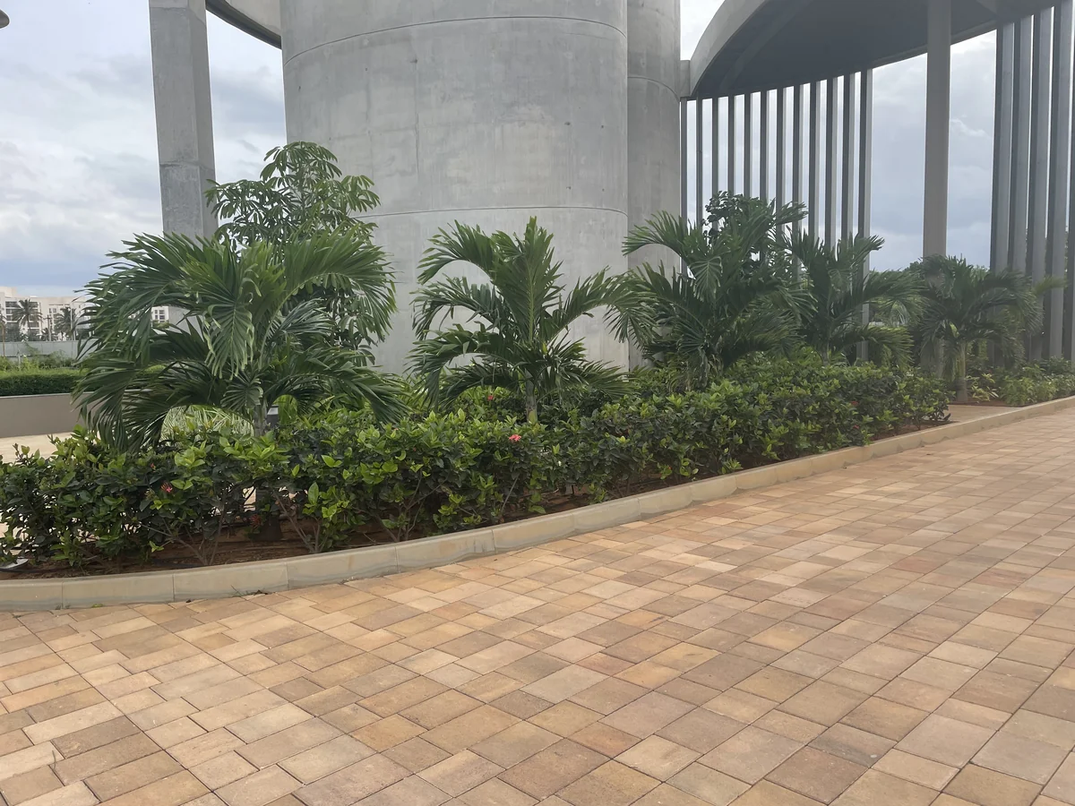Eleganz @ Orchid Nirvana 2.0 - Sky City, Bengaluru