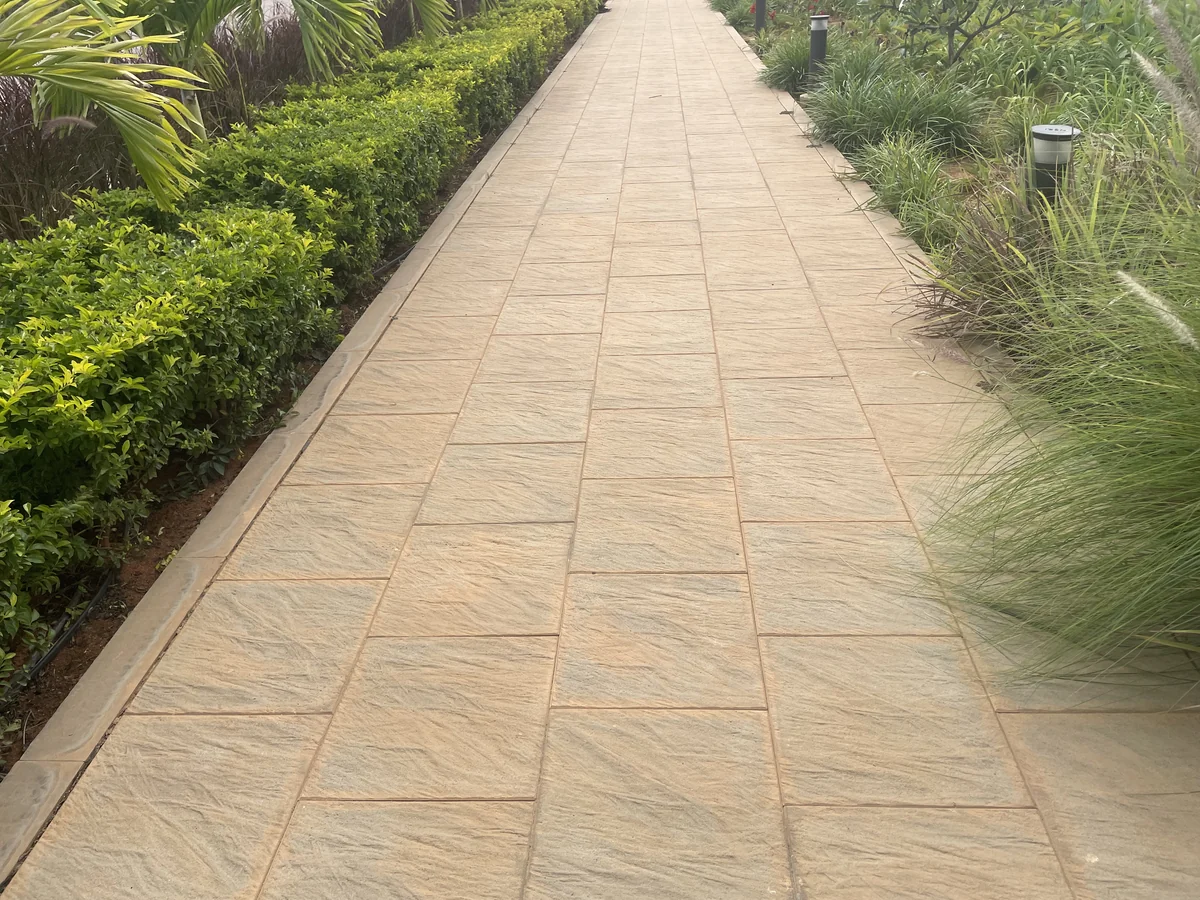 Wet Pressed Flush @ Orchid Nirvana 2.0 - Sky City, Bengaluru