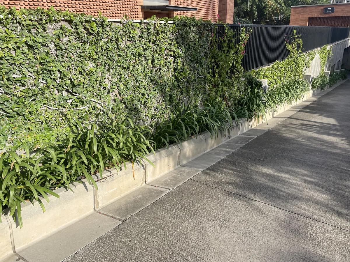 L-Shaped Kerb with Drain installed at Total Environment The Magic Fareway Tree, Bengaluru