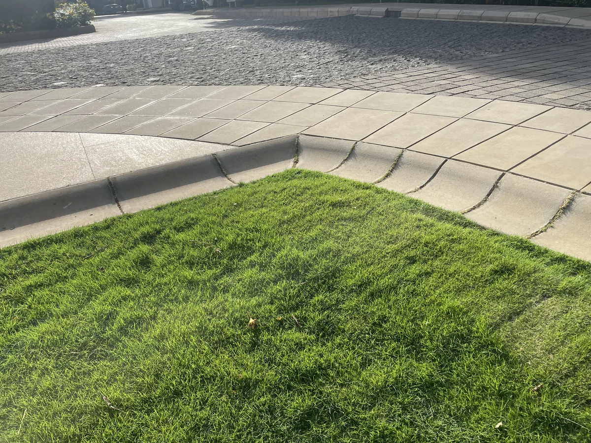 Pimple Flagstone & Down Stream Water Channel installed at Total Environment The Magic Fareway Tree, Bengaluru