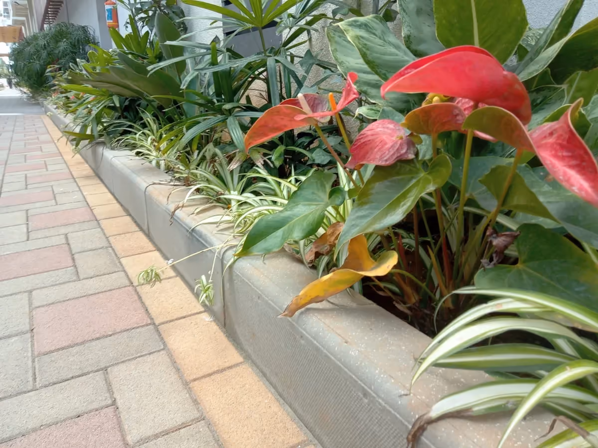 Wet Pressed Bull Nose @ Vishwapriya Vertical Garden Apartments, Bengaluru