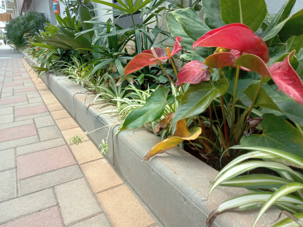 Bull Nose, Square Paver & Keyblok installed at Vishwapriya Vertical Garden Apartments, Bengaluru