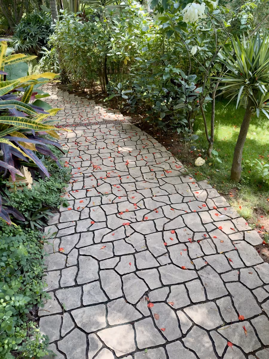 Polygon Beauty @ Chaitanya Sharan, Bengaluru