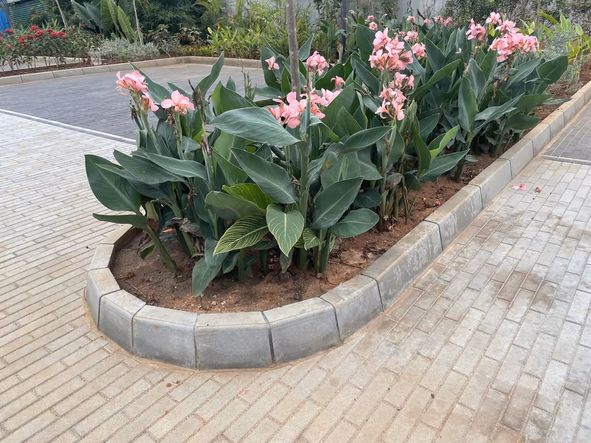 Westminster @ Krishna Brindavana, Bengaluru