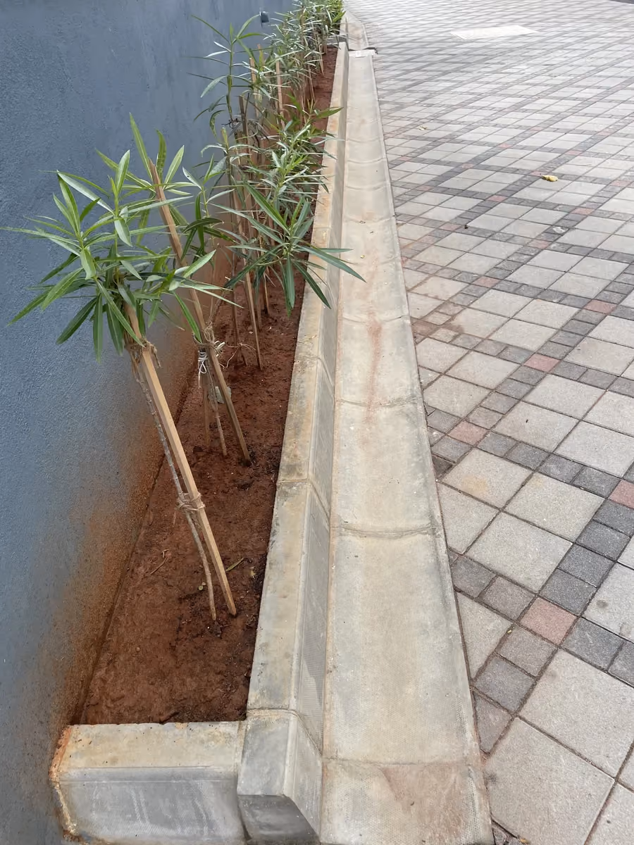 Concrete Cobble @ Kumarans School, Bengaluru