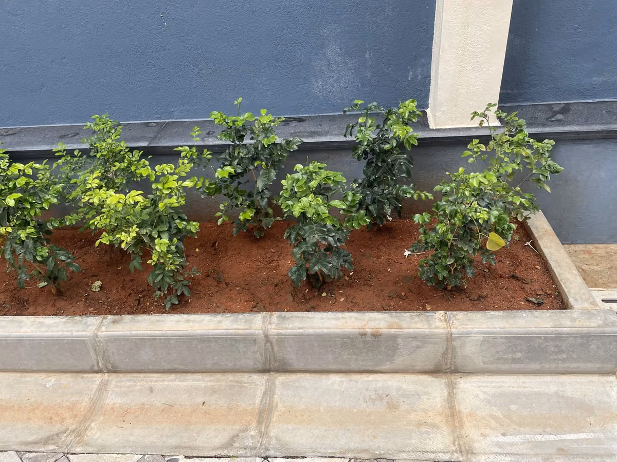 English Channel @ Kumarans School, Bengaluru