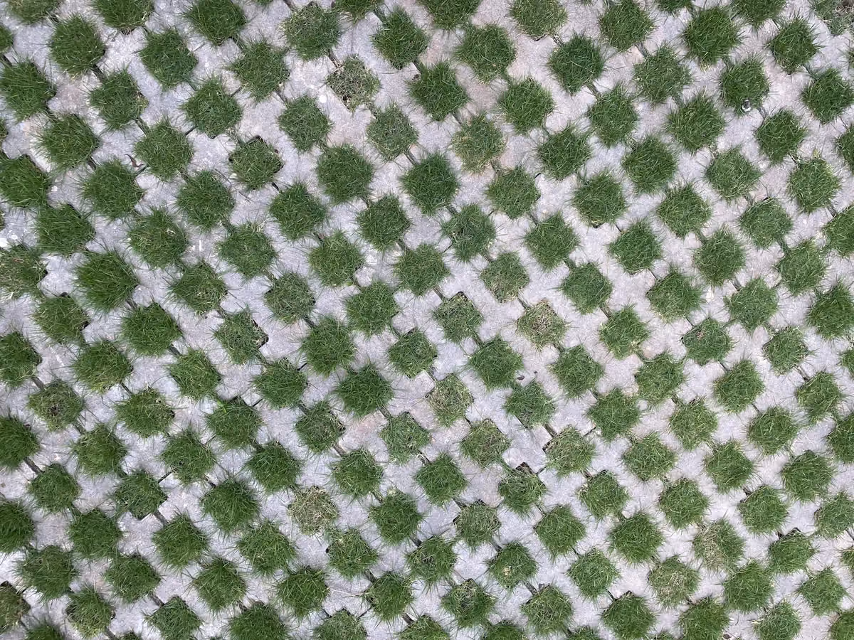 Silverstone @ GK Rajesh Nilaya, Bengaluru
