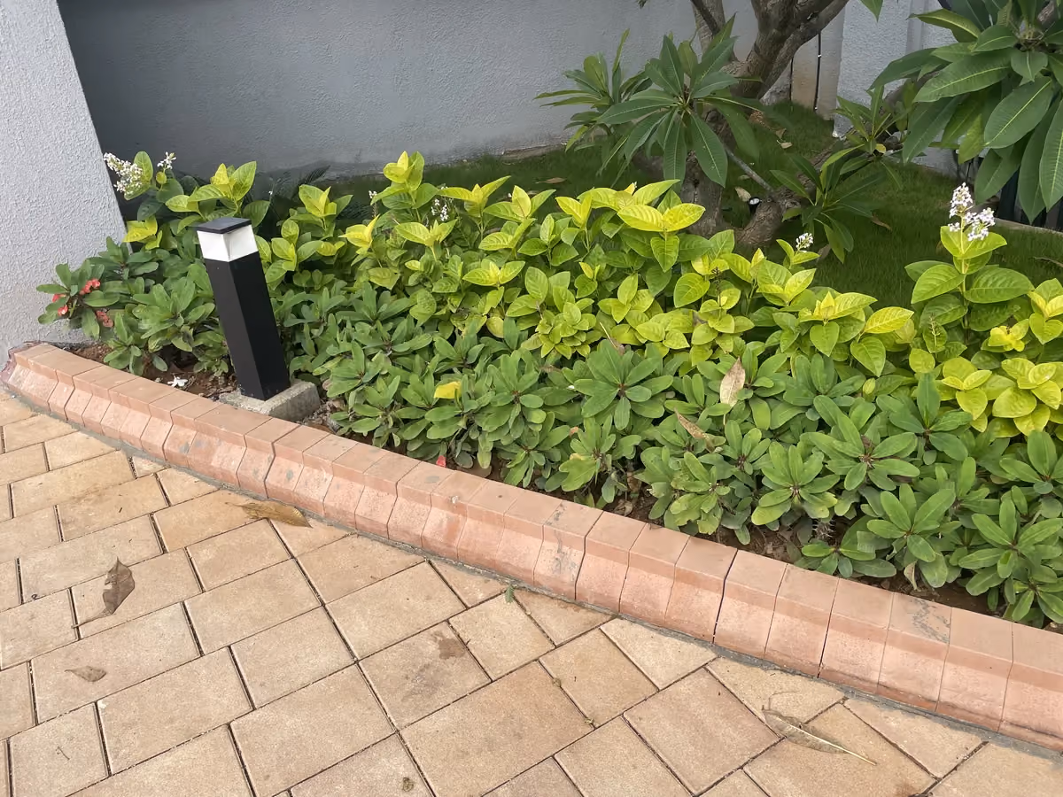 Garden Edging @ Isle by Wonderla, Ramanagara