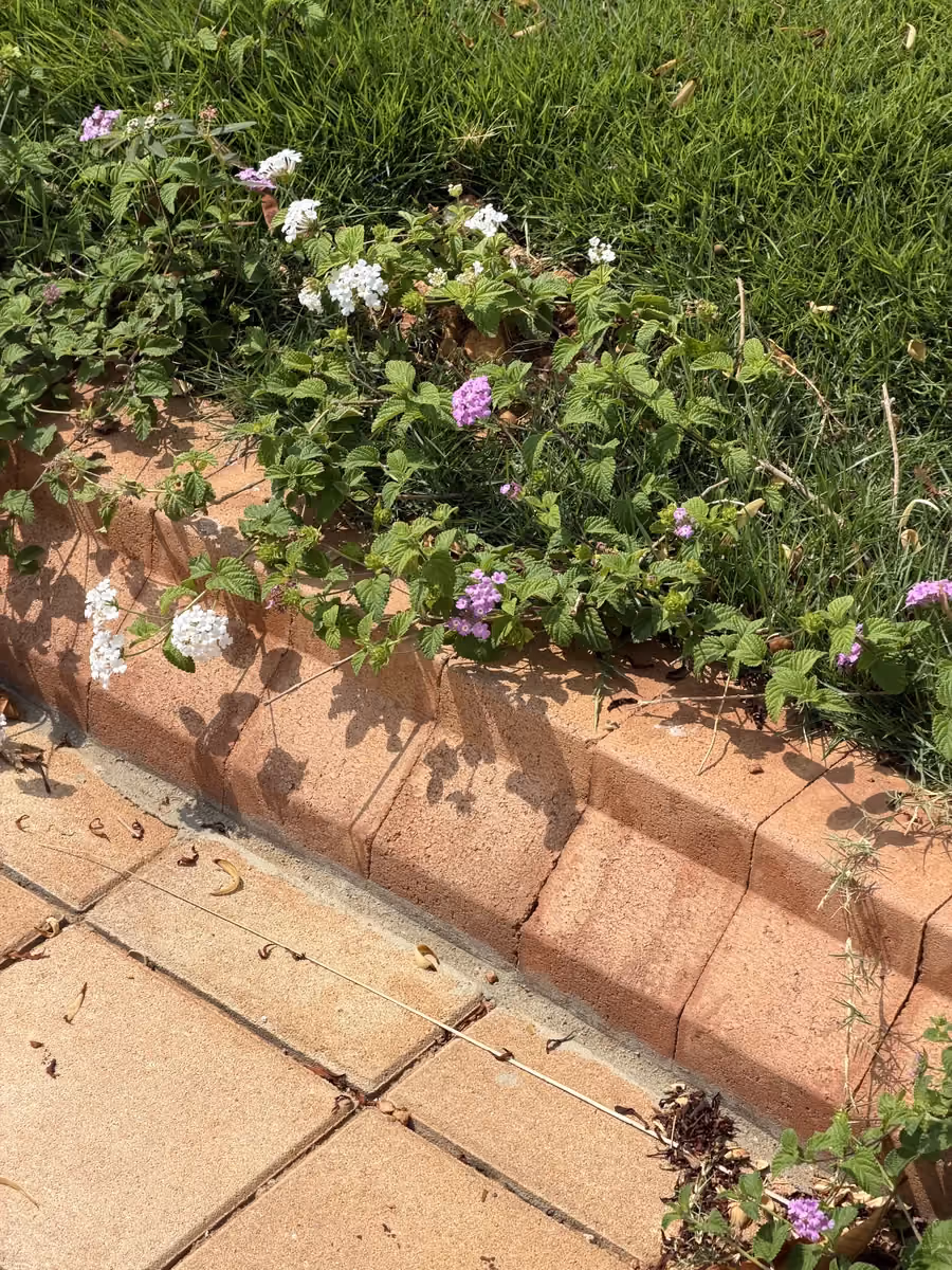 Garden Edging @ Isle by Wonderla, Ramanagara