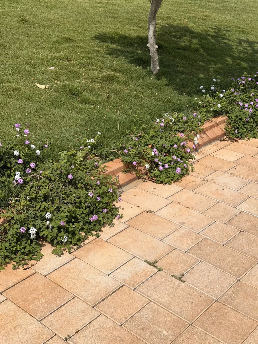 Garden Edging @ Isle by Wonderla, Ramanagara