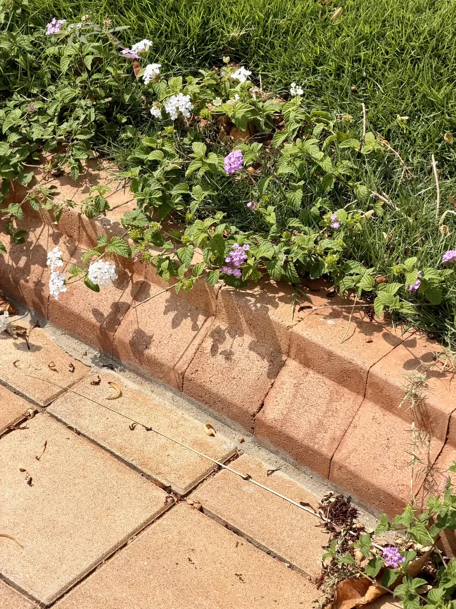 Garden Edging @ Isle by Wonderla, Ramanagara