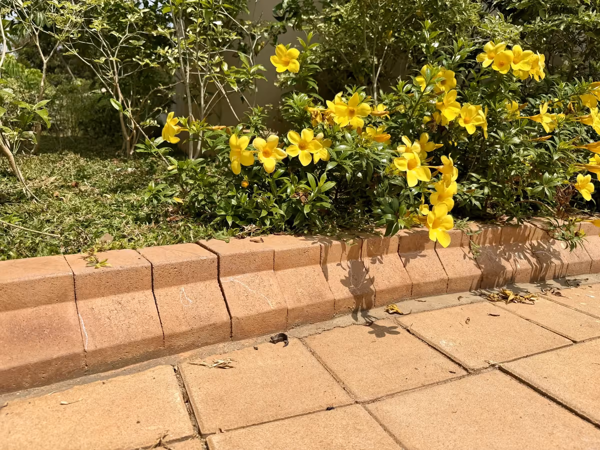 Garden Edging @ Isle by Wonderla, Ramanagara