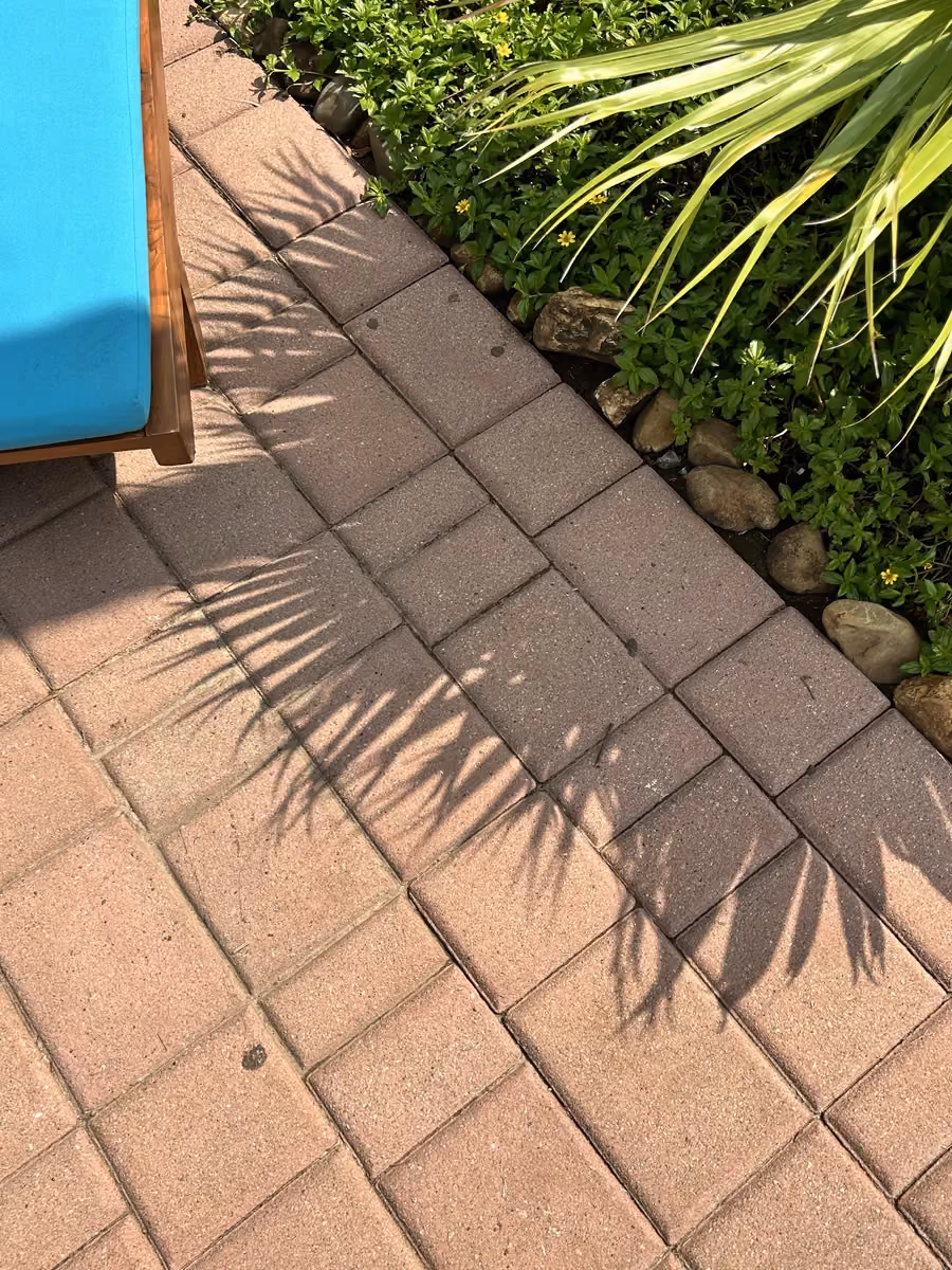 Flexi Paver @ Karma Royal Haathi Mahal, Goa