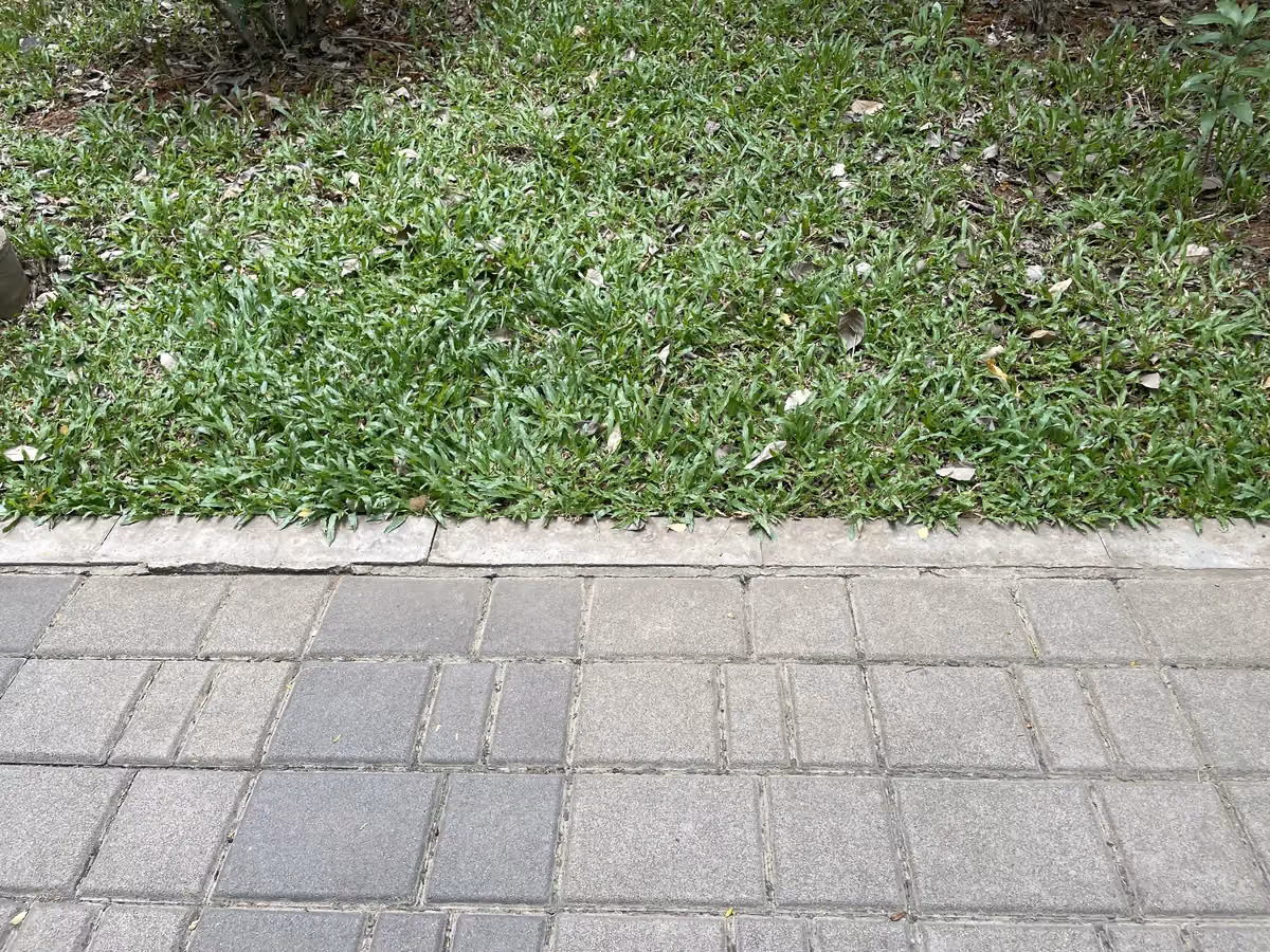 Wet Pressed Flush @ Nandini Layout Circular Park, Bengaluru