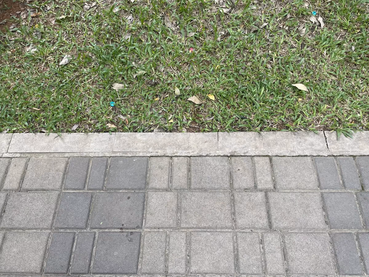 Wet Pressed Flush @ Nandini Layout Circular Park, Bengaluru