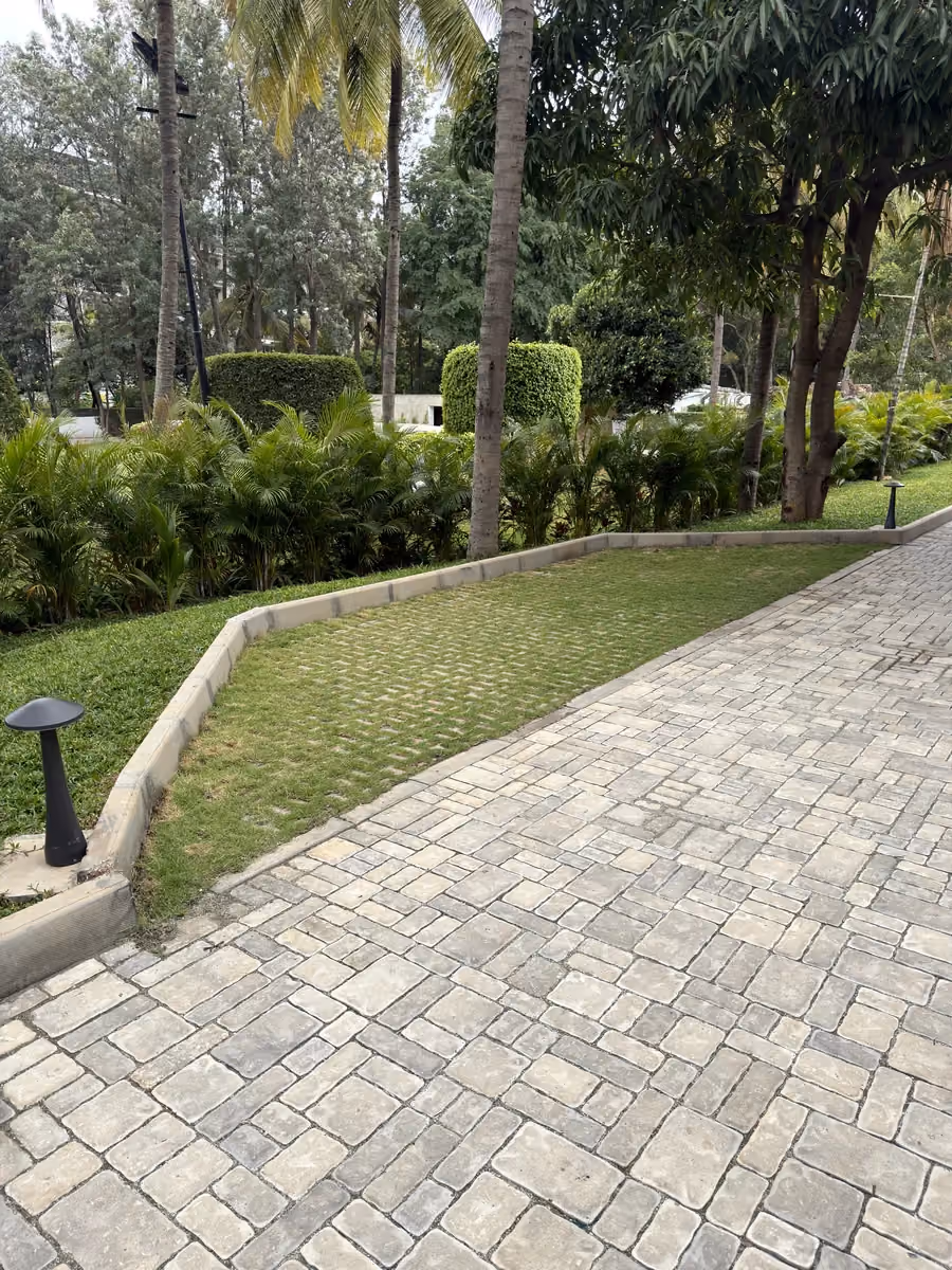 Mediterranean Cobble @ Royal Orchid, Bengaluru