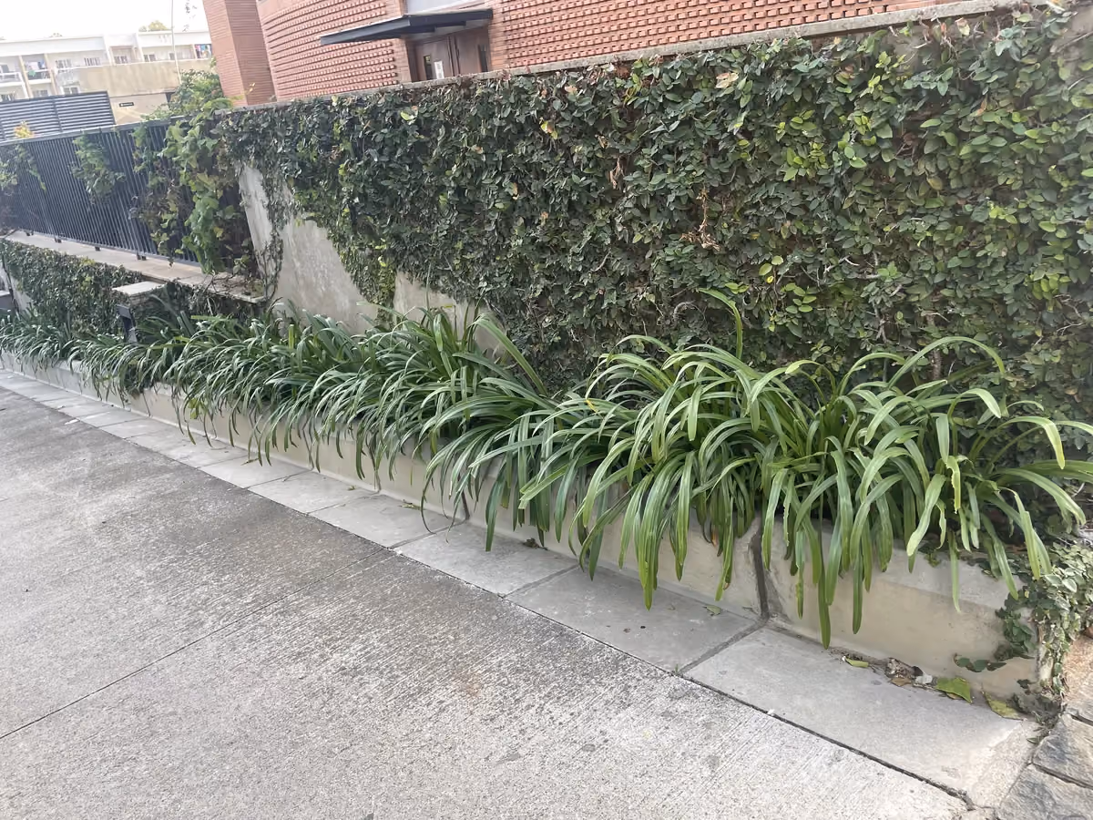 L-Shaped Kerb with Drain @ Total Environment The Magic Faraway Tree, Bengaluru