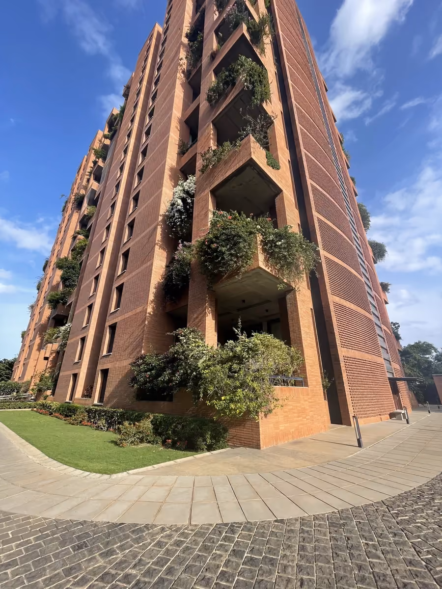 Pimple @ Total Environment The Magic Faraway Tree, Bengaluru