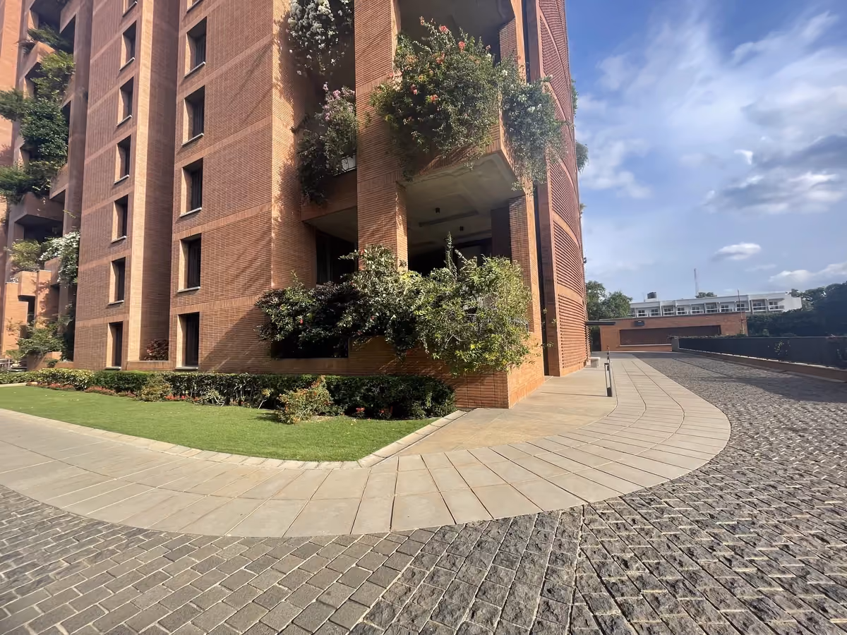 Pimple @ Total Environment The Magic Faraway Tree, Bengaluru