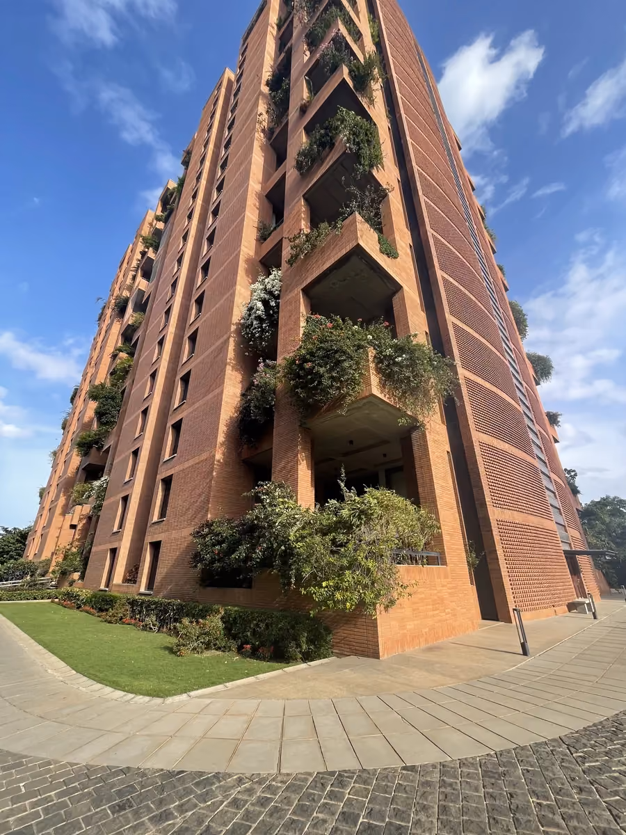 Pimple @ Total Environment The Magic Faraway Tree, Bengaluru