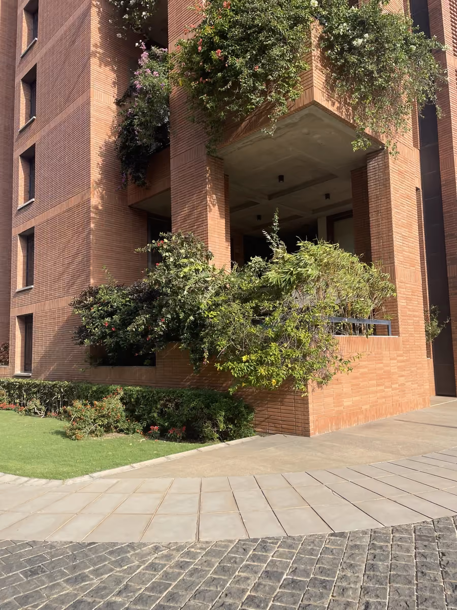 Pimple @ Total Environment The Magic Faraway Tree, Bengaluru